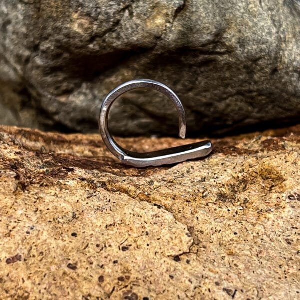 Anello Aria - immagine 2